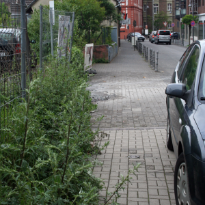 Aktuelle Situation am Schotterparkplatz