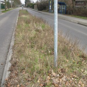 Sinnersdorfer Frühjahrsputz 1