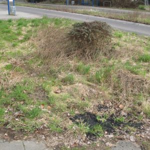Sinnersdorfer Frühjahrsputz 2
