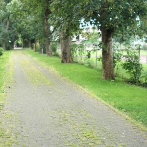 Zufahrtsweg Schützenhaus Stommeln 2010