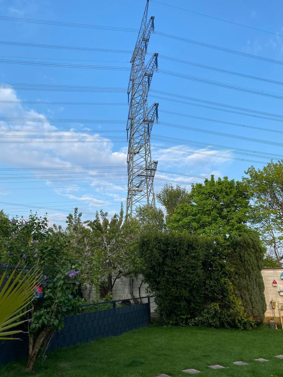 Blick auf Großmast direkt neben Garten