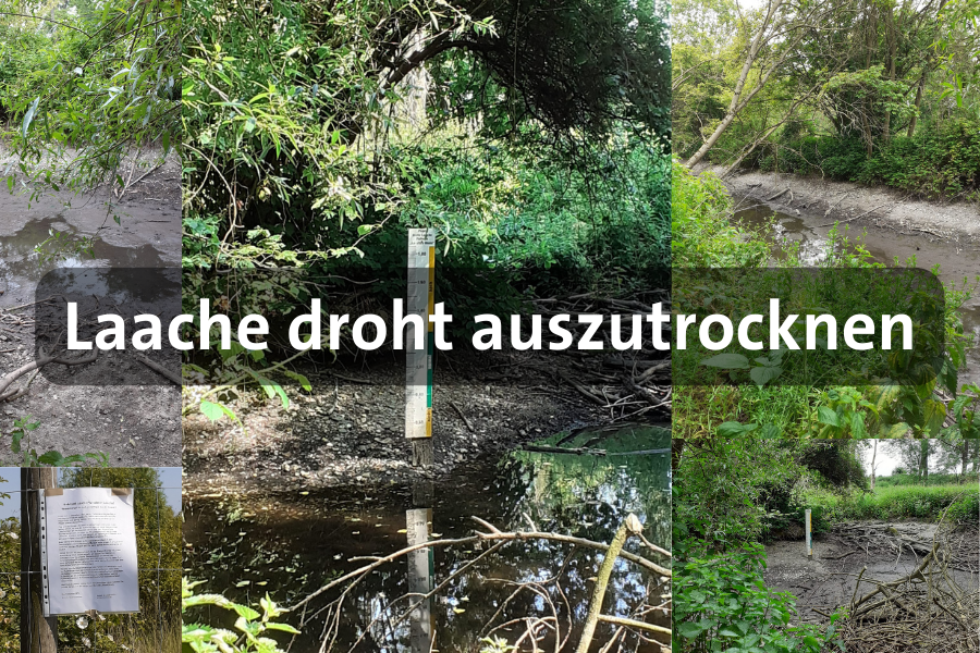 Bilder von der austrocknenden Pulheimer Laache