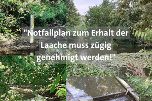 Bilder der wassergefüllten Laache