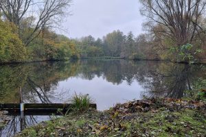 Blick auf den idyllischen Teich Nummer 3